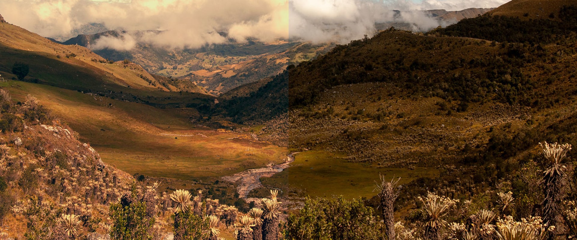 Consejos y trucos de gradación de color para fotógrafos